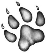 Иллюстрация к книге — День огня [i_126.jpg]