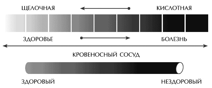 Иллюстрация к книге — Звук безмолвия [i_016.jpg]