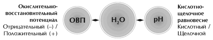 Иллюстрация к книге — Звук безмолвия [i_025.jpg]