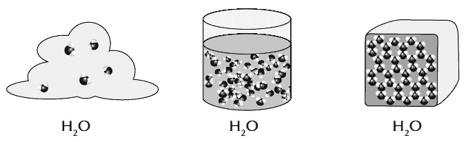 Иллюстрация к книге — Звук безмолвия [i_027.jpg]