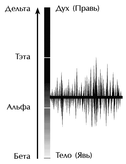 Иллюстрация к книге — Звук безмолвия [i_053.jpg]
