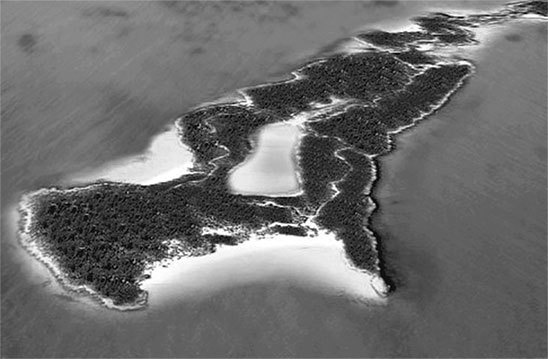 Иллюстрация к книге — Джонни Депп. Романтик и хулиган [i_112.jpg]