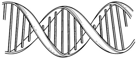 Иллюстрация к книге — Эволюция. От Дарвина до современных теорий [i_004.jpg]