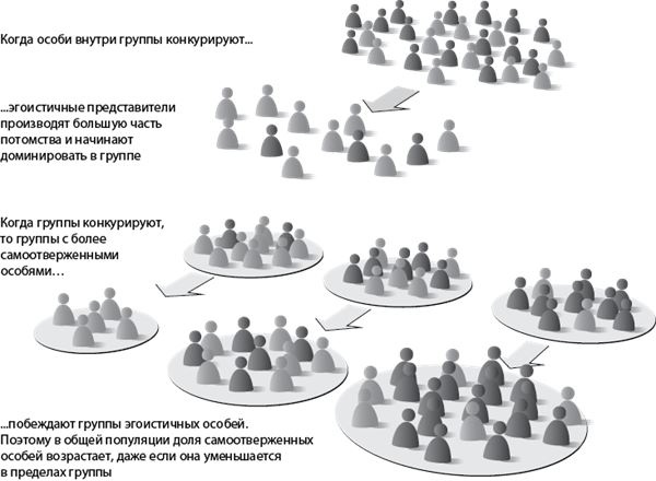 Иллюстрация к книге — Эволюция. От Дарвина до современных теорий [i_020.jpg]