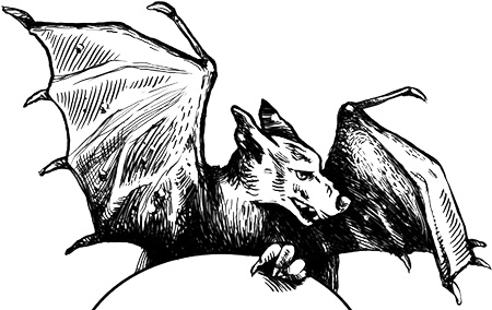 Иллюстрация к книге — Хроники Черного Отряда. Книги Мертвых: Воды спят. Солдаты живут [i_003.jpg]