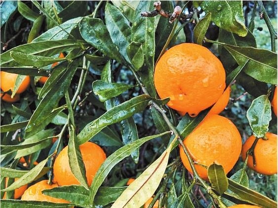 Иллюстрация к книге — Продвижение личных блогов в Инстаграм [i_015.jpg]