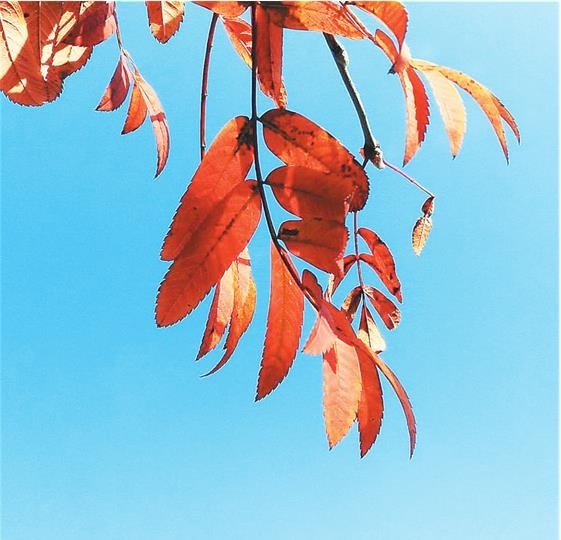 Иллюстрация к книге — Продвижение личных блогов в Инстаграм [i_016.jpg]