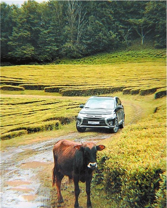 Иллюстрация к книге — Продвижение личных блогов в Инстаграм [i_022.jpg]