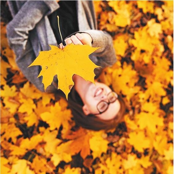 Иллюстрация к книге — Продвижение личных блогов в Инстаграм [i_031.jpg]