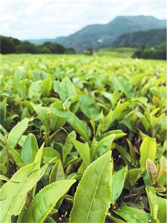 Иллюстрация к книге — Продвижение личных блогов в Инстаграм [i_036.jpg]