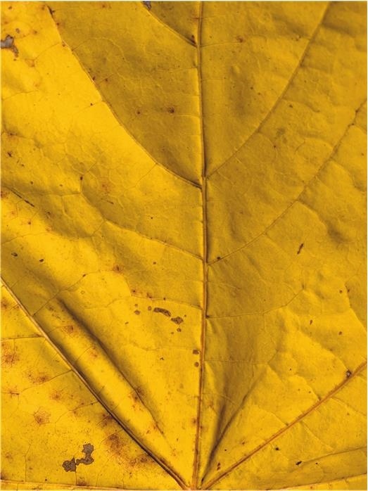 Иллюстрация к книге — Продвижение личных блогов в Инстаграм [i_084.jpg]