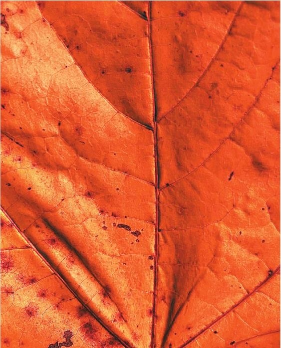 Иллюстрация к книге — Продвижение личных блогов в Инстаграм [i_085.jpg]