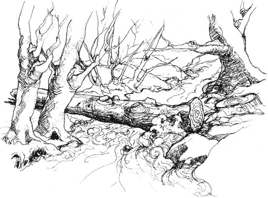 Иллюстрация к книге — Сара. Путешествие ребенка в мир безграничной радости (сборник) [i_006.jpg]