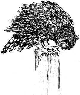 Иллюстрация к книге — Сара. Путешествие ребенка в мир безграничной радости (сборник) [i_011.jpg]