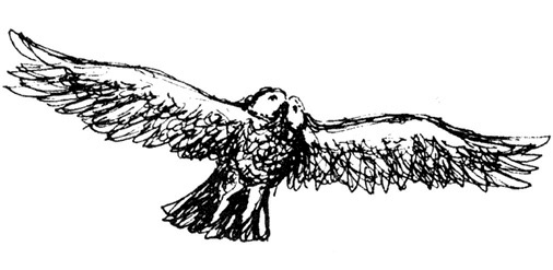 Иллюстрация к книге — Сара. Путешествие ребенка в мир безграничной радости (сборник) [i_015.jpg]