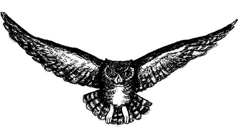 Иллюстрация к книге — Сара. Путешествие ребенка в мир безграничной радости (сборник) [i_029.jpg]