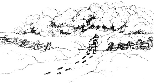 Иллюстрация к книге — Сара. Путешествие ребенка в мир безграничной радости (сборник) [i_033.jpg]