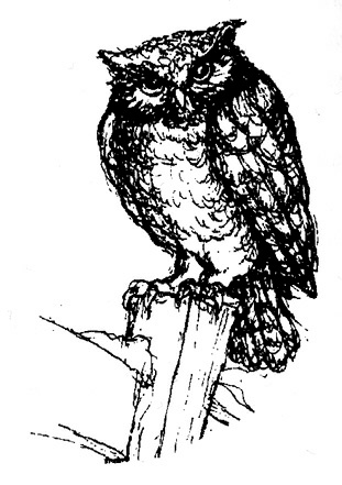 Иллюстрация к книге — Сара. Путешествие ребенка в мир безграничной радости (сборник) [i_035.jpg]