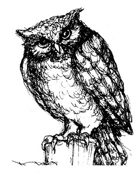 Иллюстрация к книге — Сара. Путешествие ребенка в мир безграничной радости (сборник) [i_037.jpg]