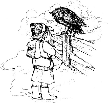 Иллюстрация к книге — Сара. Путешествие ребенка в мир безграничной радости (сборник) [i_039.jpg]