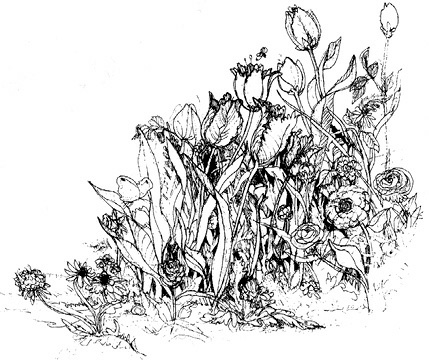 Иллюстрация к книге — Сара. Путешествие ребенка в мир безграничной радости (сборник) [i_046.jpg]