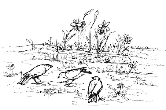 Иллюстрация к книге — Сара. Путешествие ребенка в мир безграничной радости (сборник) [i_051.jpg]