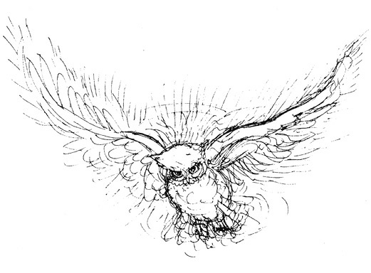 Иллюстрация к книге — Сара. Путешествие ребенка в мир безграничной радости (сборник) [i_053.jpg]