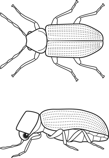 Иллюстрация к книге — Сделай сам. Все виды работ для домашнего мастера [i_002.jpg]