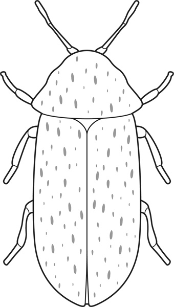 Иллюстрация к книге — Сделай сам. Все виды работ для домашнего мастера [i_004.jpg]