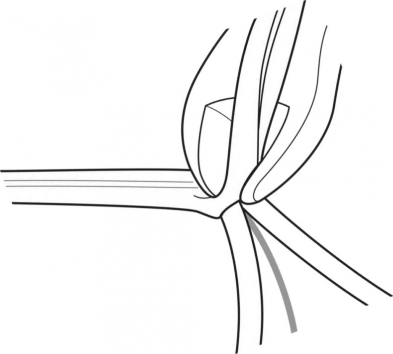 Иллюстрация к книге — Сделай сам. Все виды работ для домашнего мастера [i_124.jpg]