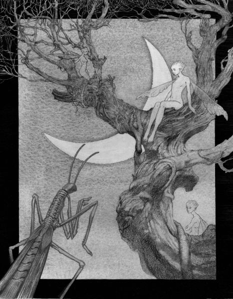 Иллюстрация к книге — Лабиринт Фавна [i_009.jpg]