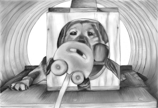 Иллюстрация к книге — Душа собаки. Как и почему ваша собака вас любит [i_011.jpg]