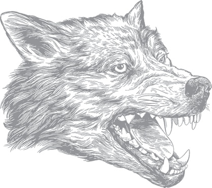 Иллюстрация к книге — Душа собаки. Как и почему ваша собака вас любит [i_012.jpg]