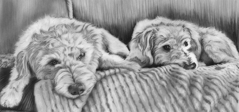 Иллюстрация к книге — Душа собаки. Как и почему ваша собака вас любит [i_016.jpg]