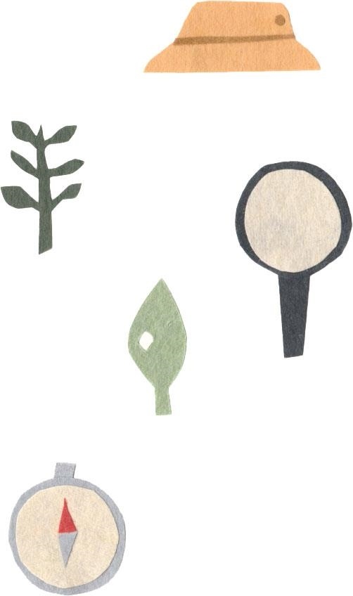 Иллюстрация к книге — Монтессори для малышей [i_044.jpg]