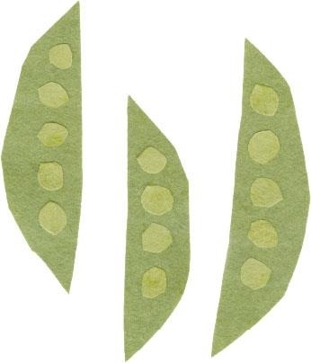 Иллюстрация к книге — Монтессори для малышей [i_050.jpg]