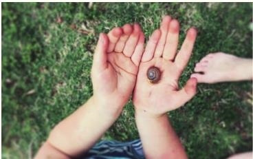 Иллюстрация к книге — Монтессори для малышей [i_102.jpg]