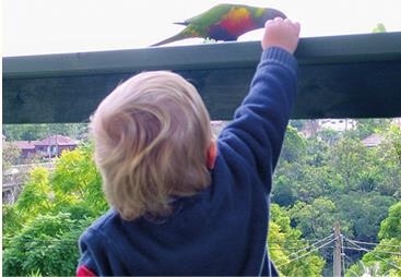 Иллюстрация к книге — Монтессори для малышей [i_107.jpg]