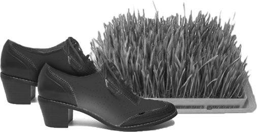 Иллюстрация к книге — Портал [i_004.jpg]