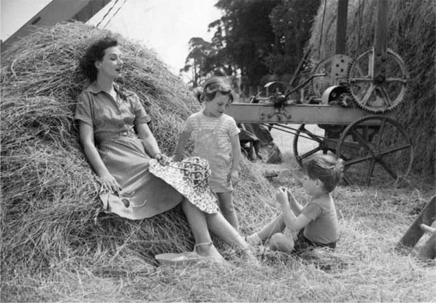 Иллюстрация к книге — Дневник обезьянки (1957-1982) [i_012.jpg]