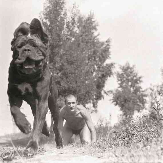 Иллюстрация к книге — Фотография как современное искусство [i_016.jpg]