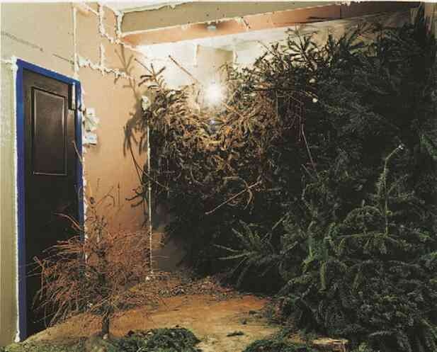 Иллюстрация к книге — Фотография как современное искусство [i_070.jpg]