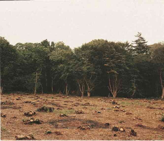 Иллюстрация к книге — Фотография как современное искусство [i_096.jpg]