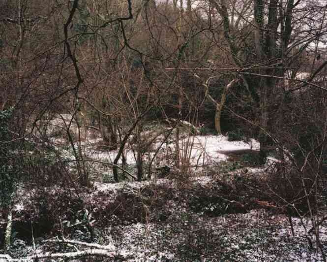 Иллюстрация к книге — Фотография как современное искусство [i_097.jpg]