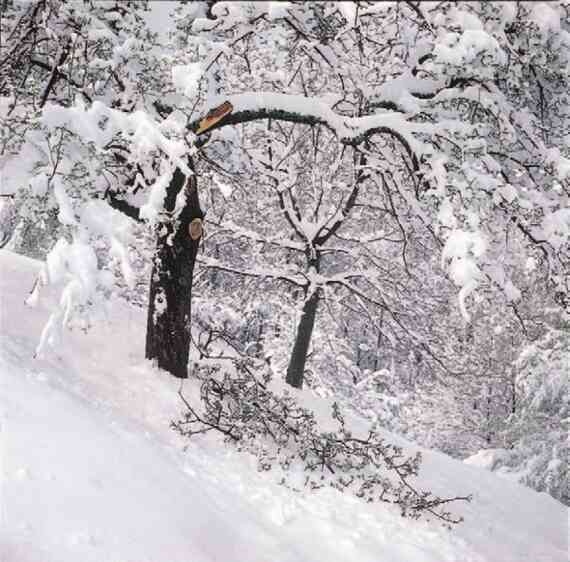 Иллюстрация к книге — Фотография как современное искусство [i_124.jpg]