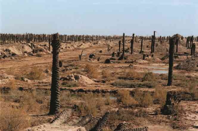 Иллюстрация к книге — Фотография как современное искусство [i_157.jpg]