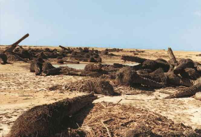 Иллюстрация к книге — Фотография как современное искусство [i_158.jpg]