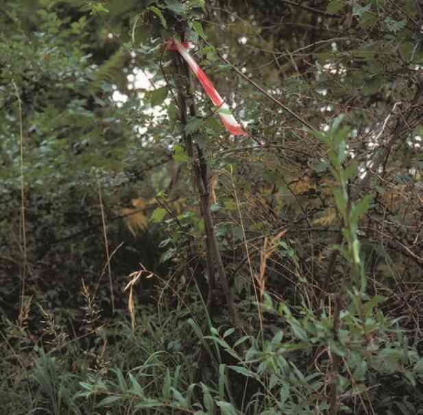 Иллюстрация к книге — Фотография как современное искусство [i_162.jpg]