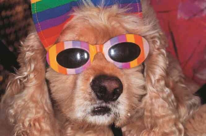 Иллюстрация к книге — Фотография как современное искусство [i_180.jpg]