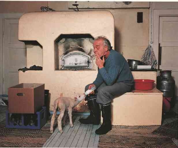 Иллюстрация к книге — Фотография как современное искусство [i_185.jpg]